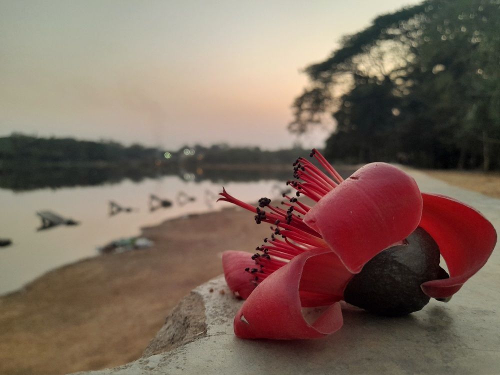 Photo #9887743