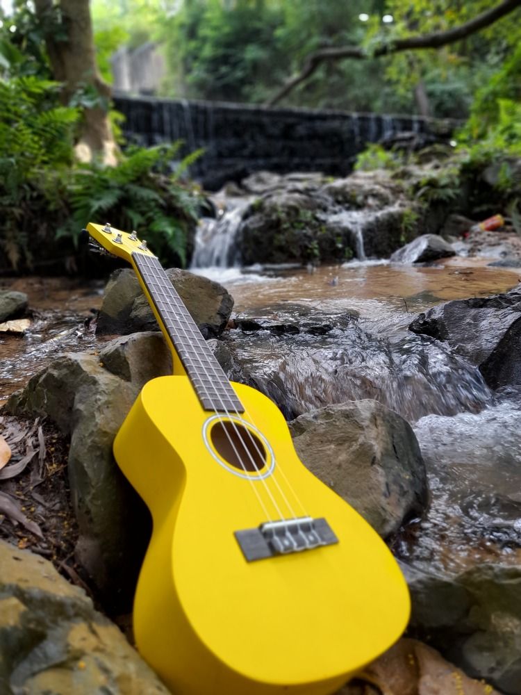 Yellow friend in green