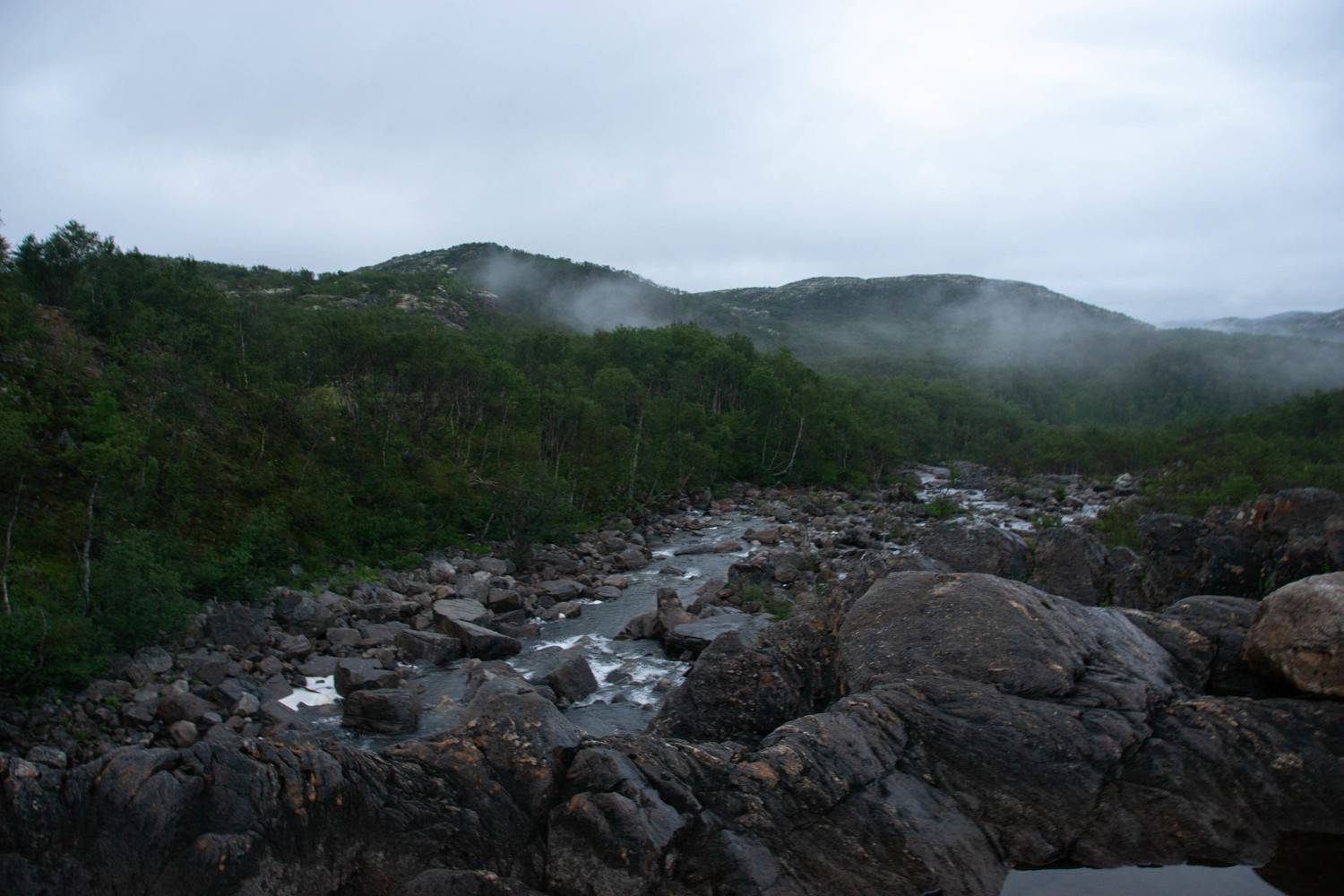 Photo #9887838