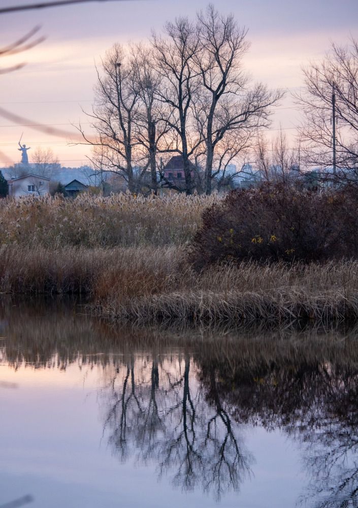 Photograph by Галчонок Ахмерова