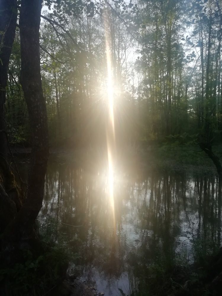 Photograph by Георгий Салюков