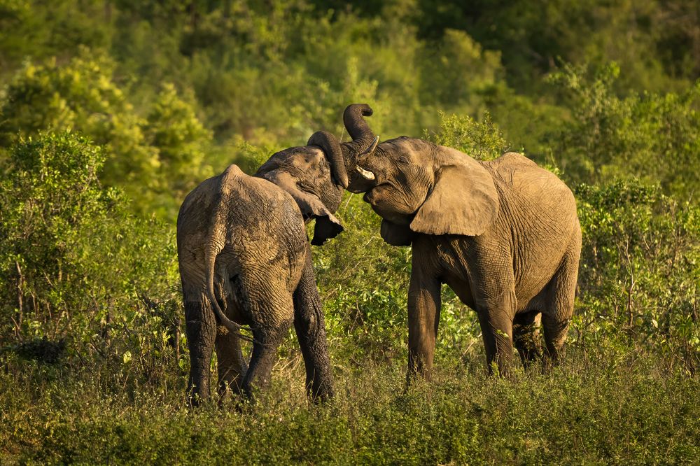 Photograph by Николай Мозгунов