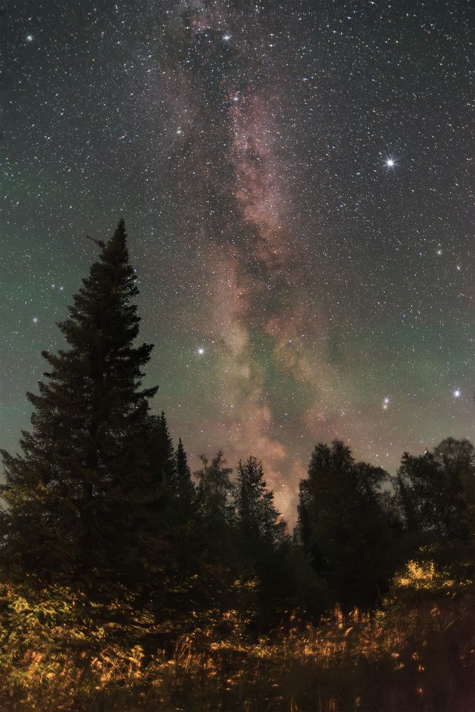 Ясная ночь в Сибири