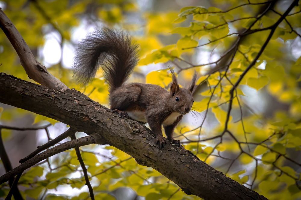 Photograph by Христо Колев