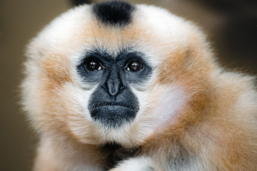 Photograph by Liga KALNINA