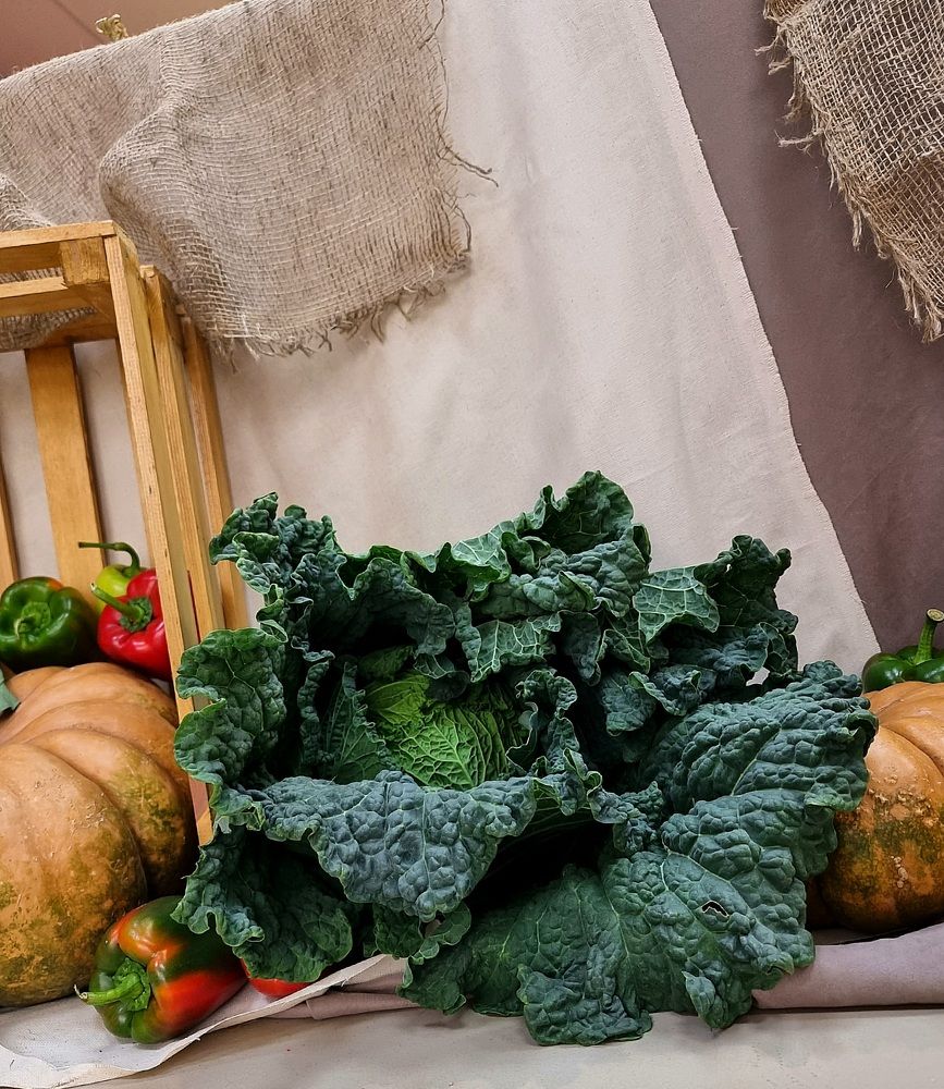 Photograph by Гельфман Галина