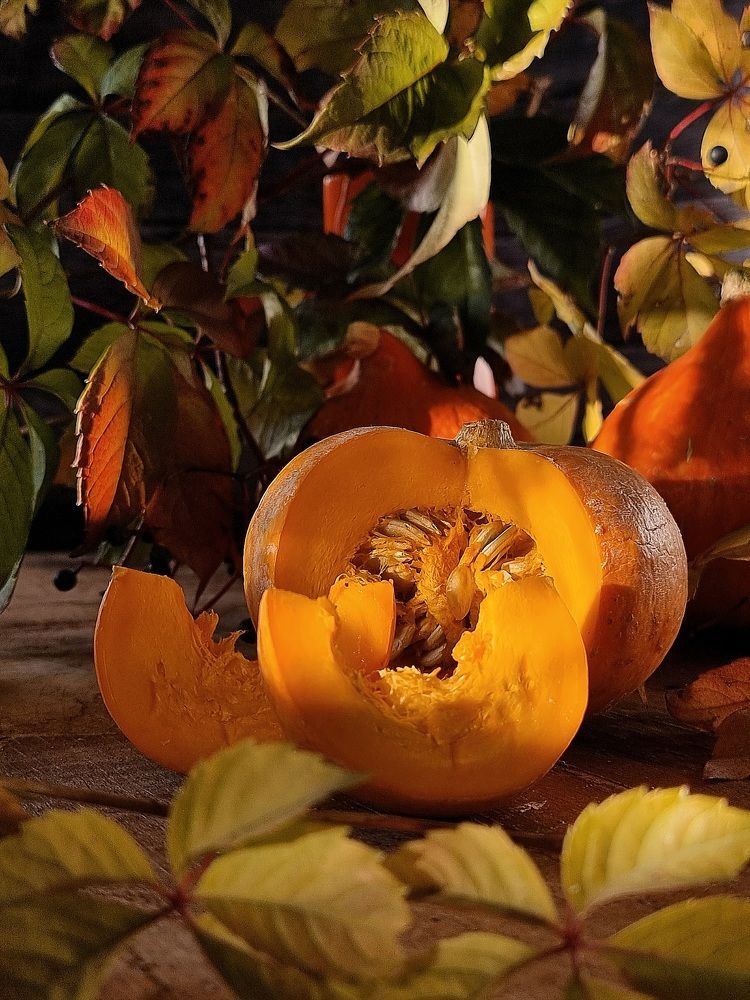 Photograph by Гельфман Галина