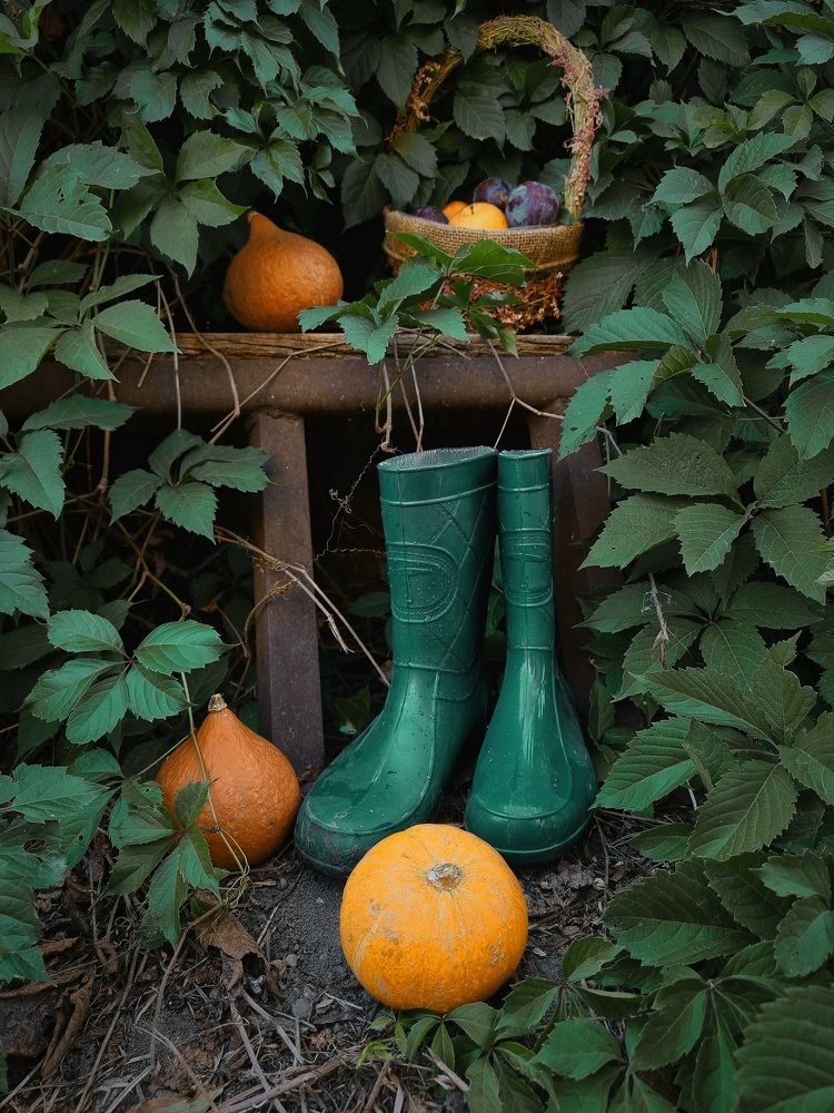 Photograph by Гельфман Галина