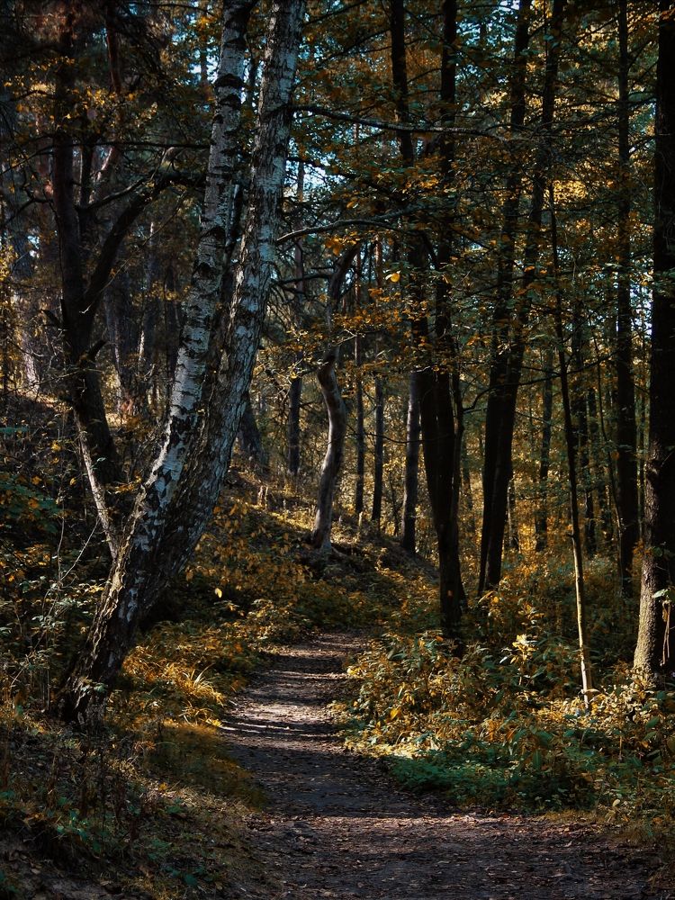 Photograph by Анна Любимова