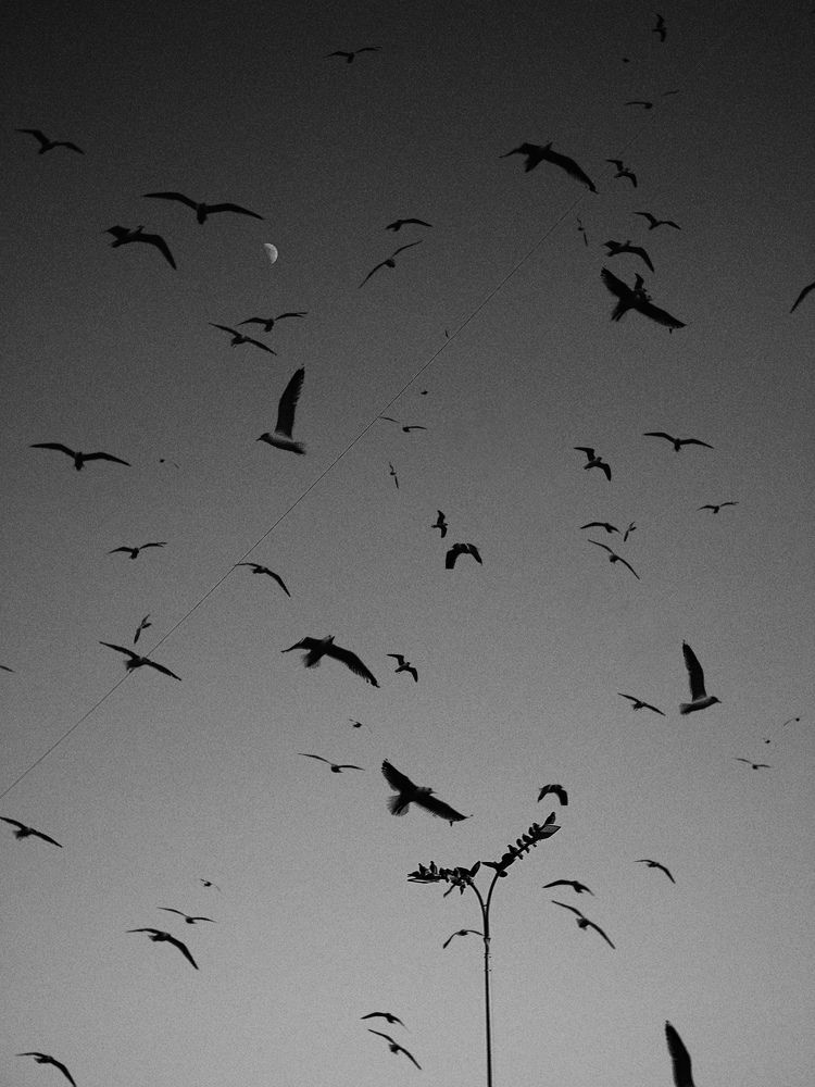 Photograph by Алиса Нежинская