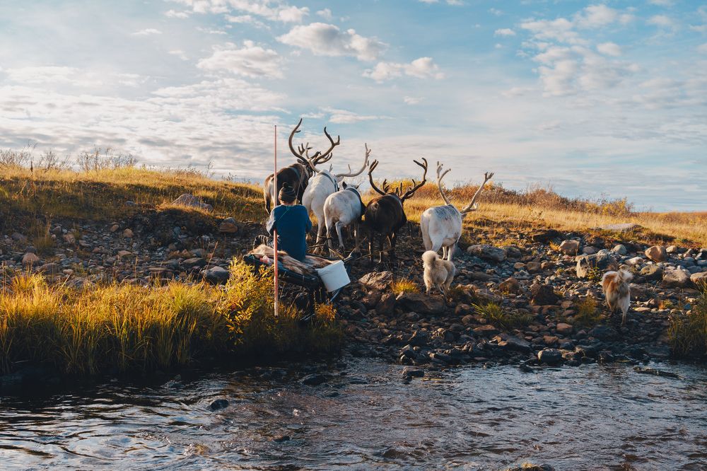 Photograph by Ксения Плоткина