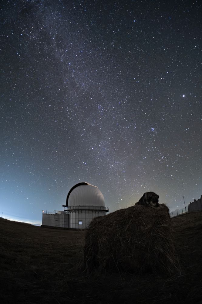 Photograph by Стоянова-Тимбукту Мария