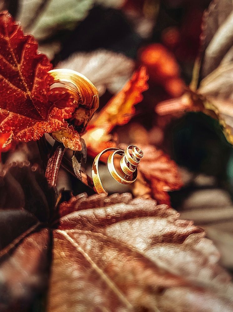 Солнечная пружинка