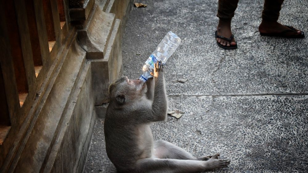 Photograph by Наталья Рау