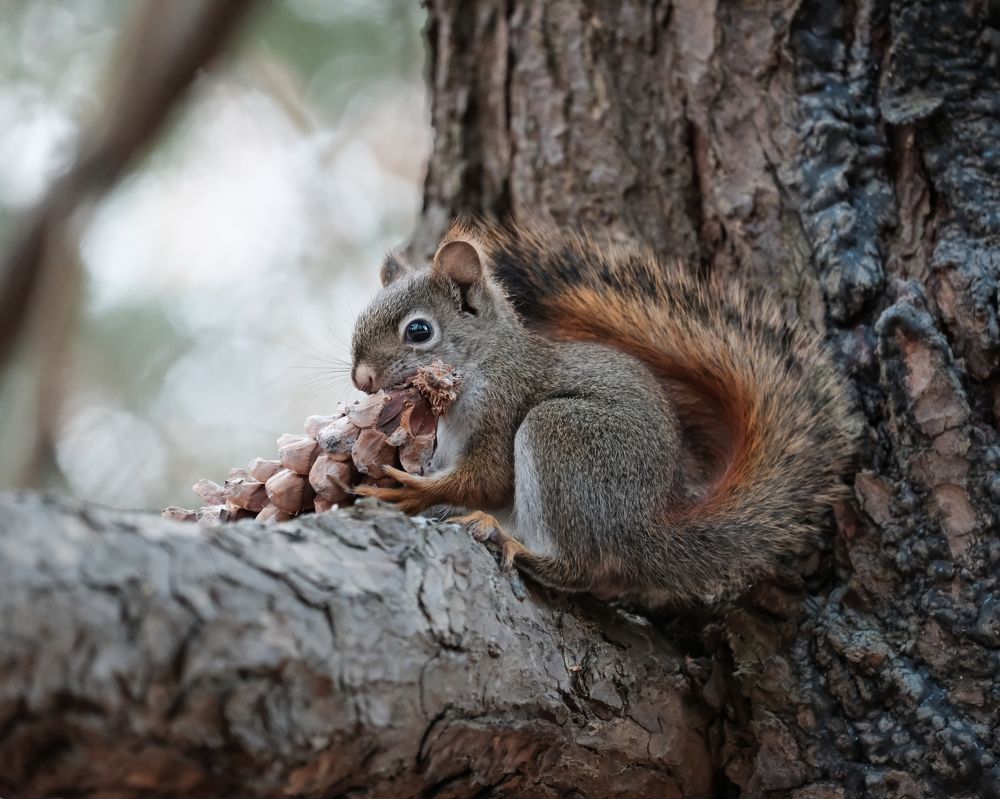 Photograph by Greg Noakes