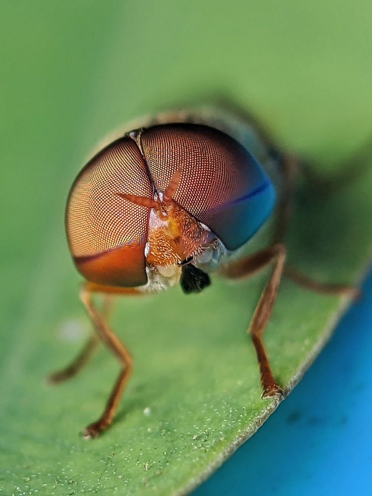 Photograph by Sai Krishna