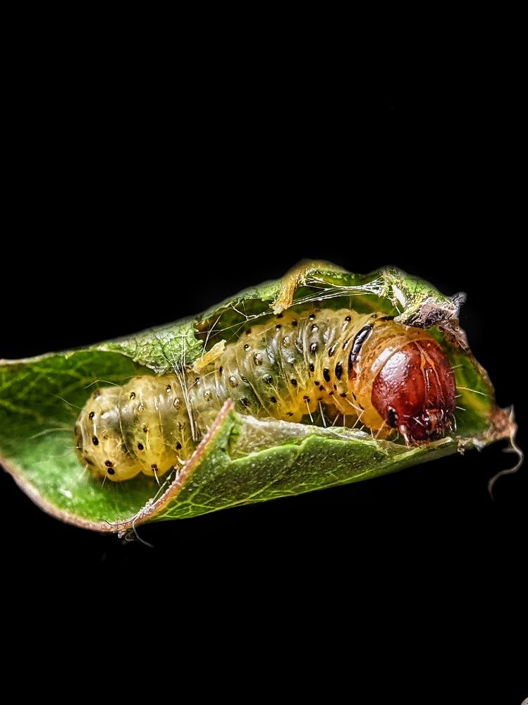 Photograph by Sai Krishna