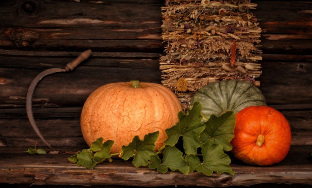 Photograph by Марина Тувышева-Чукавина