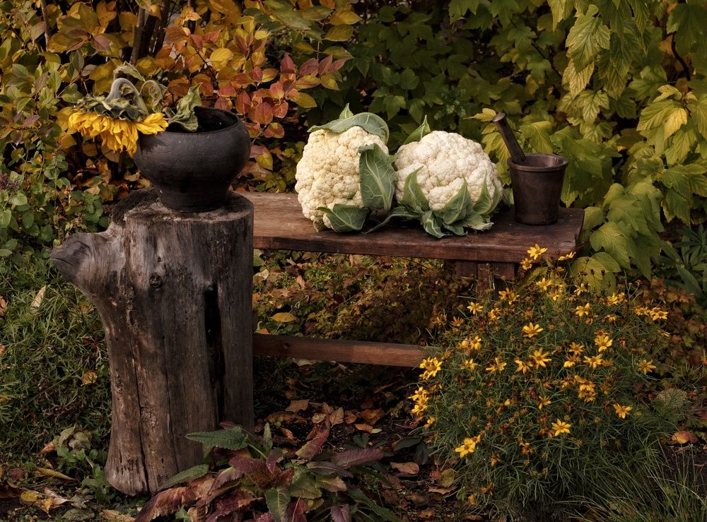 Photograph by Марина Тувышева-Чукавина