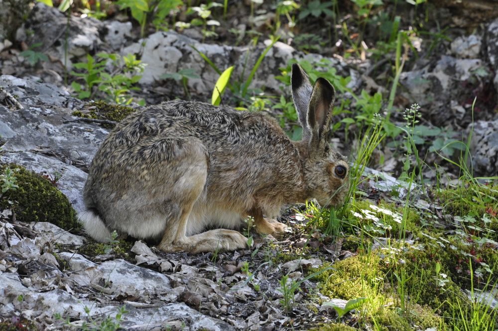 Photograph by Евгений Самулев