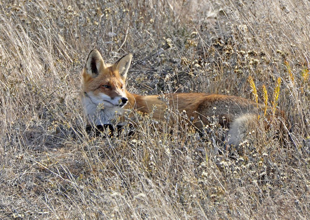 Photograph by Евгений Самулев