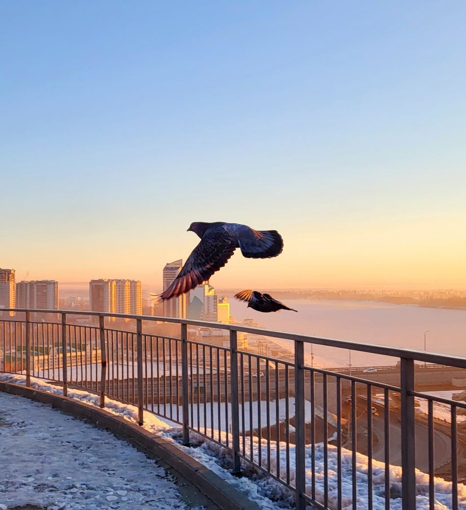 Photograph by Pavel Vorobev