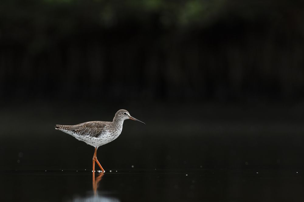 Photograph by Visveswar VK