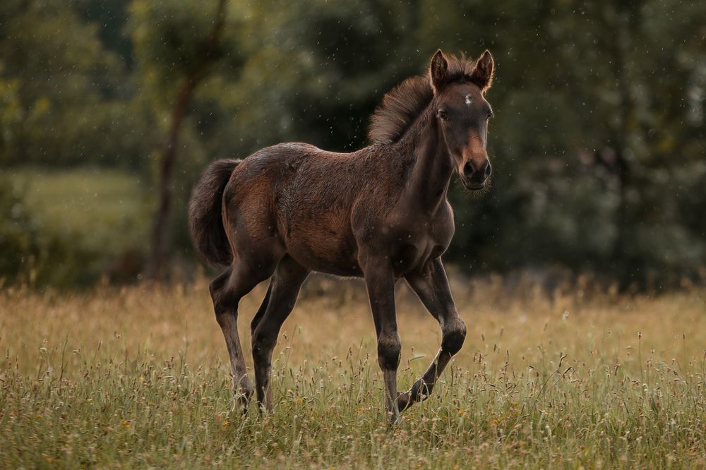 Photograph by Ирина Голомако