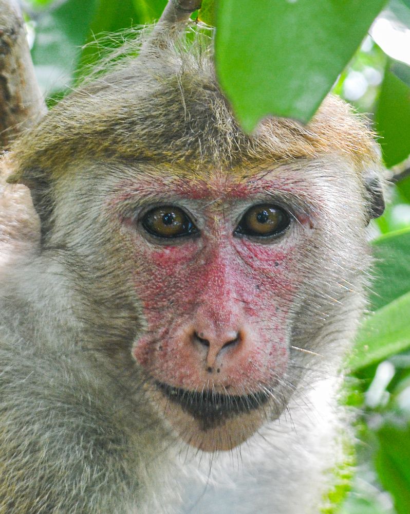 Photograph by Kasun Wickramasinghe