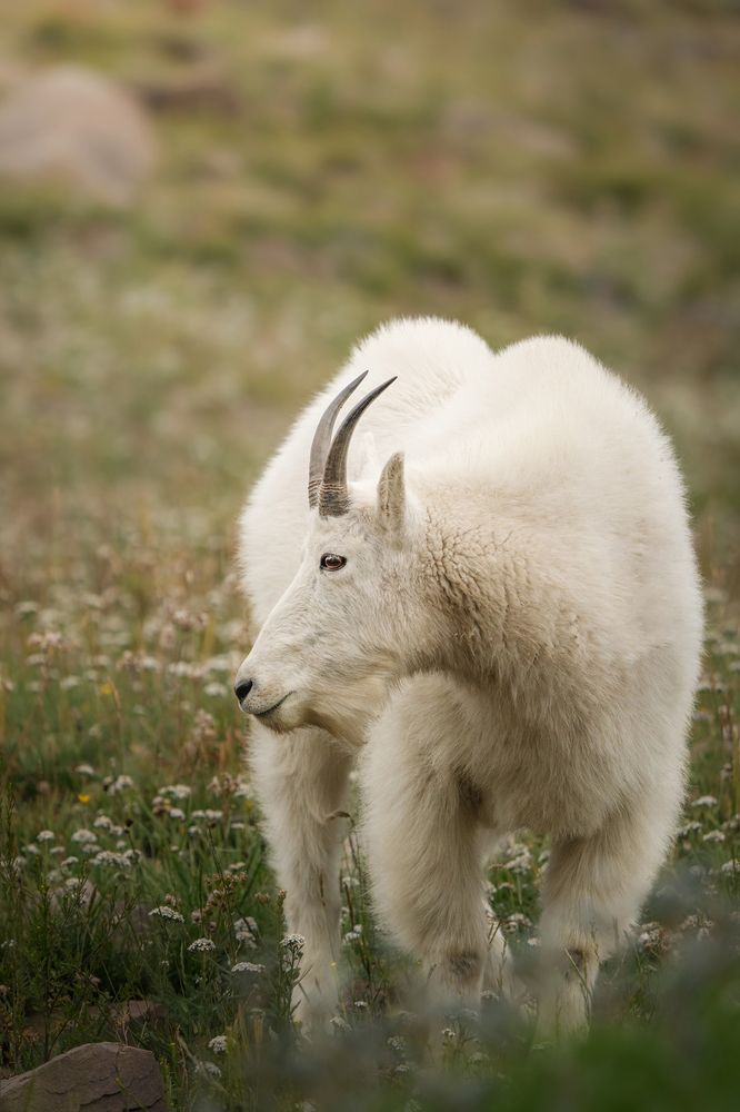 Photograph by Victoria Harris