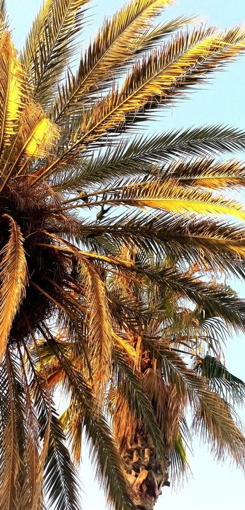 Photograph by ILONA OTRUTSKAYA