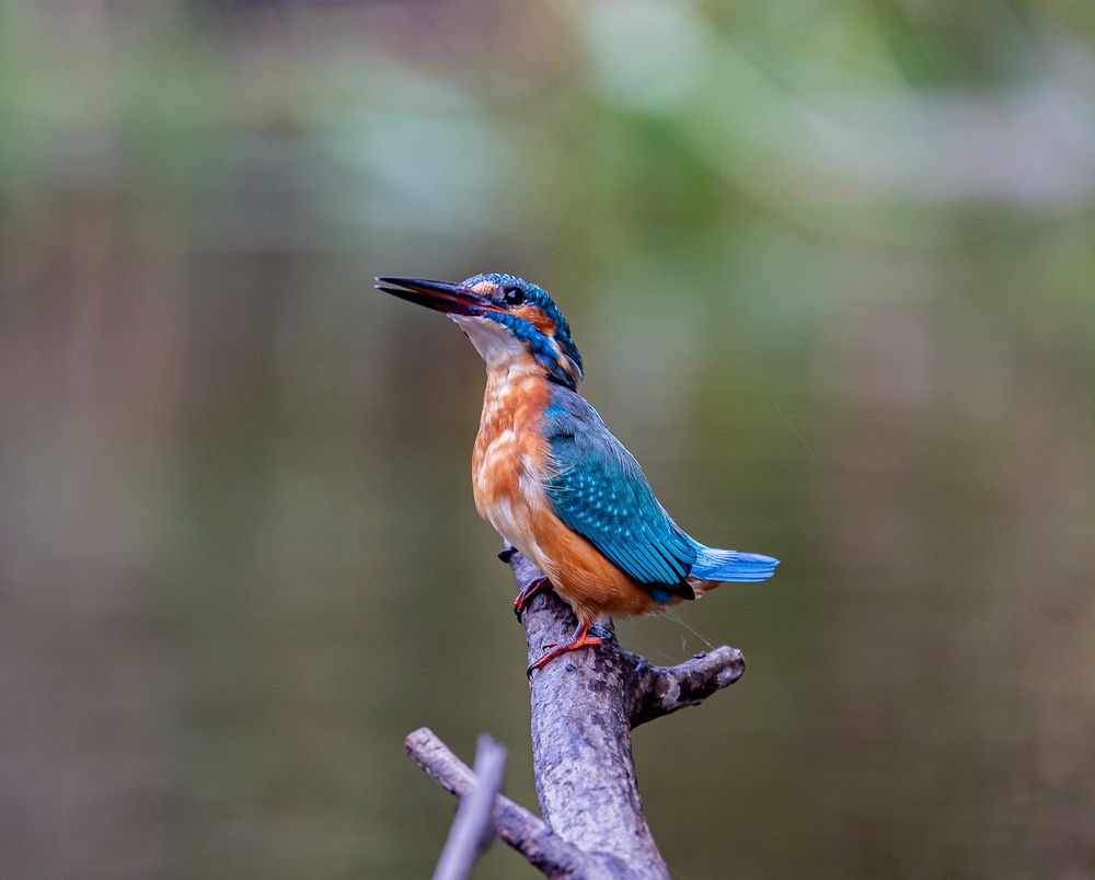 Photograph by Марина