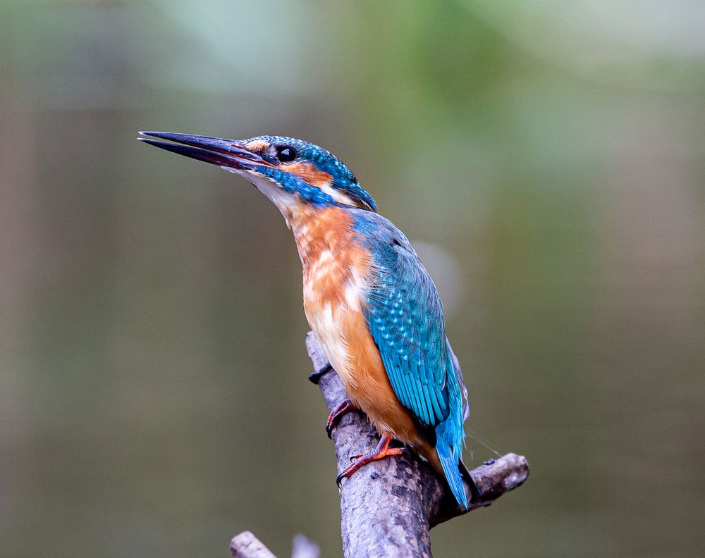 Photograph by Марина