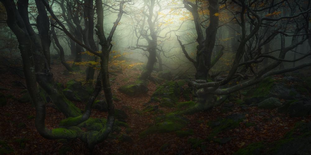 Photograph by Markus Albert