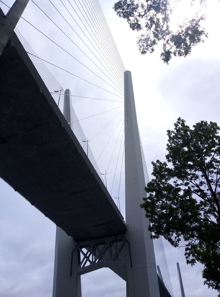 Photo #9888989