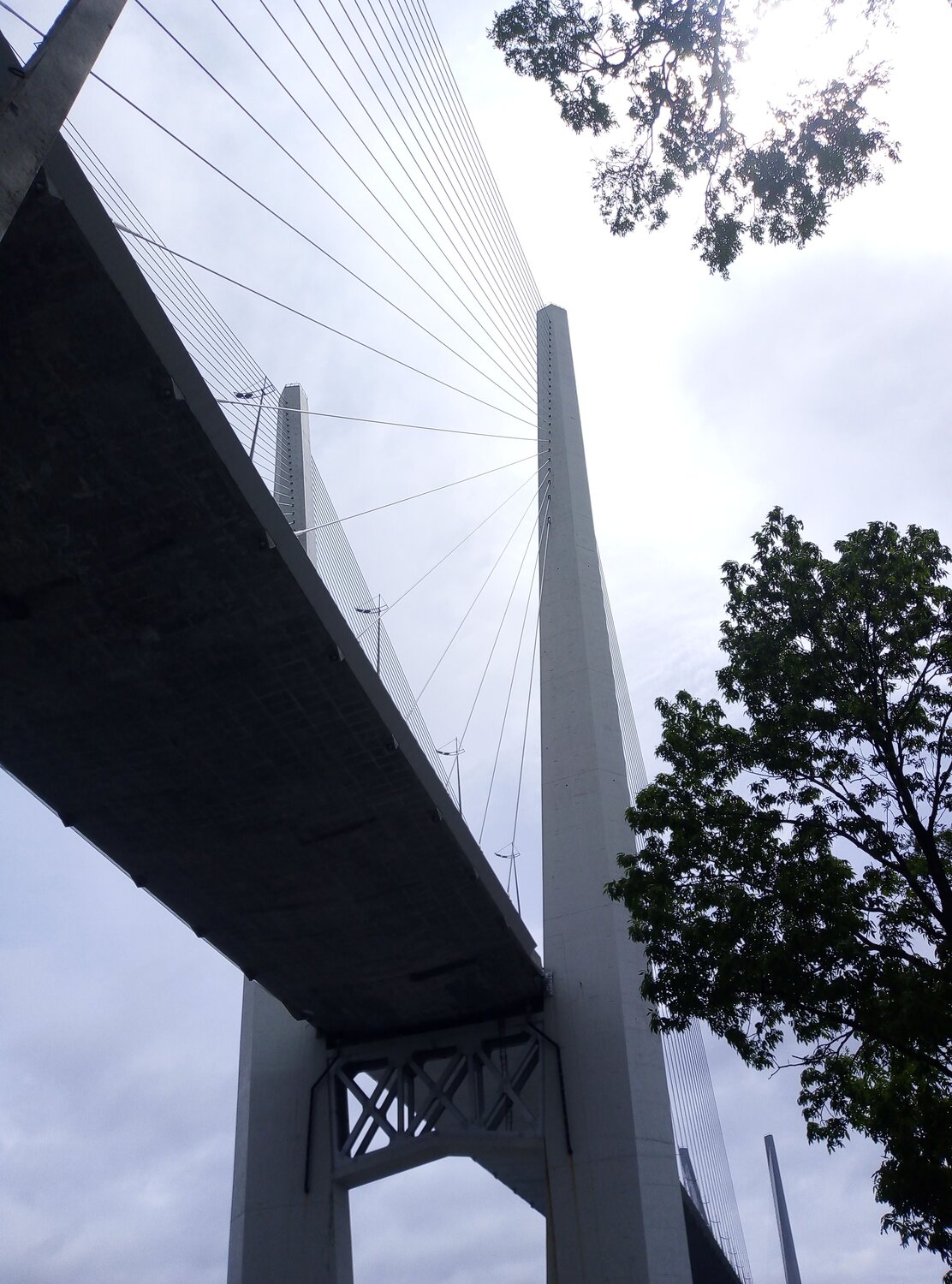 Photo #9888989