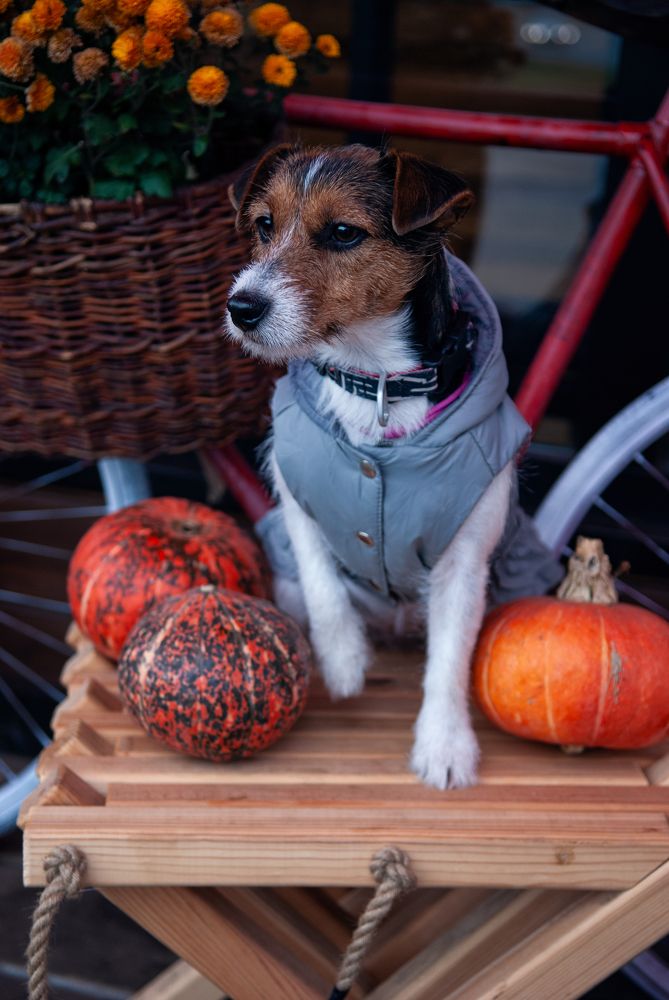 Photograph by Натали Фромм