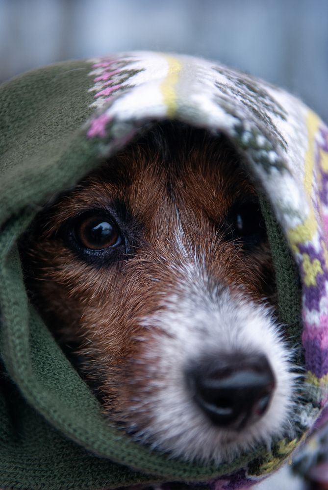 Photograph by Натали Фромм