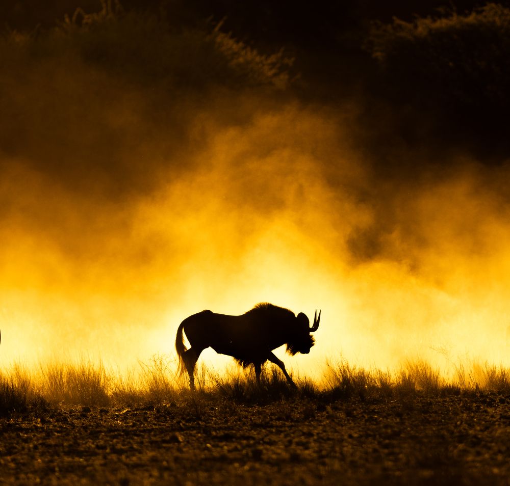 Photograph by Silvia Ribeiro