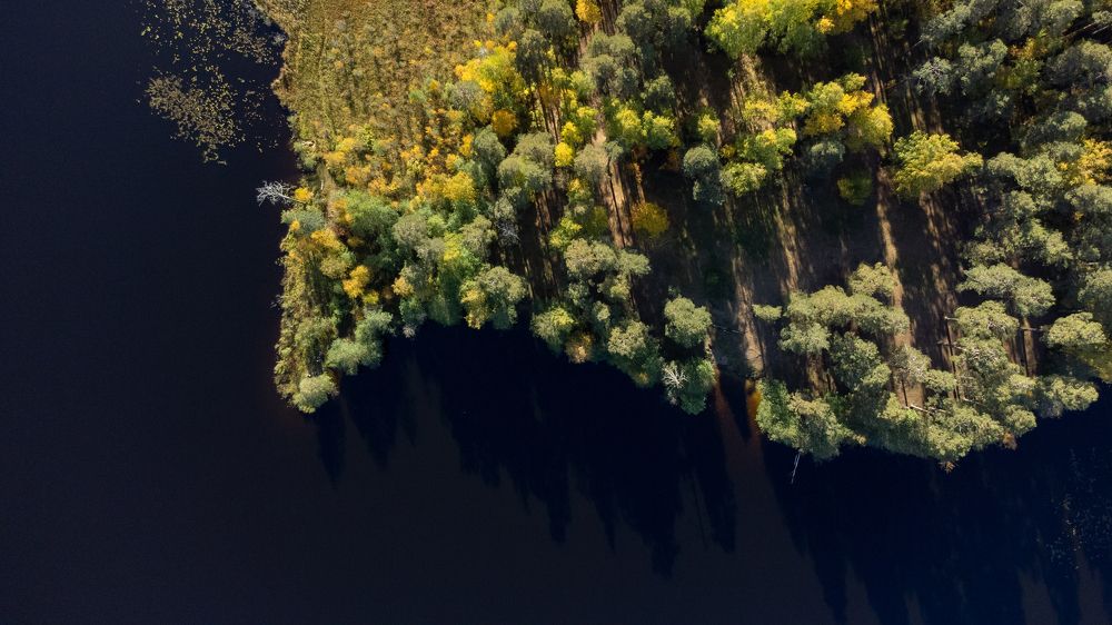 Photograph by Алексей