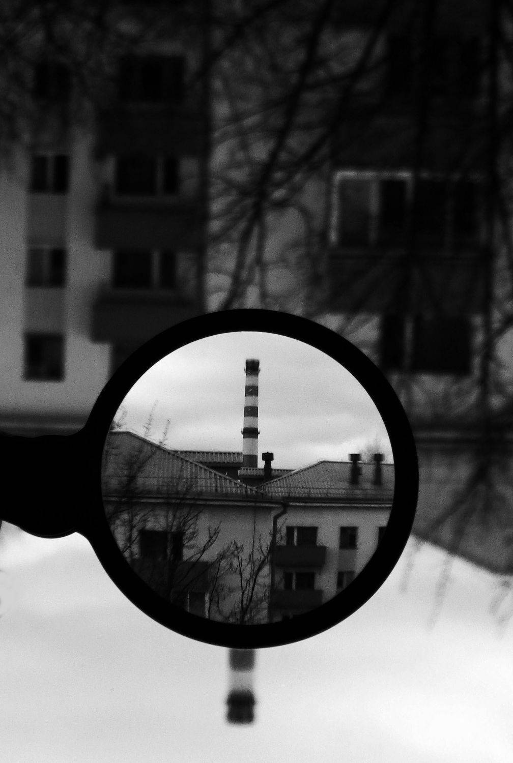 Photo #9889263