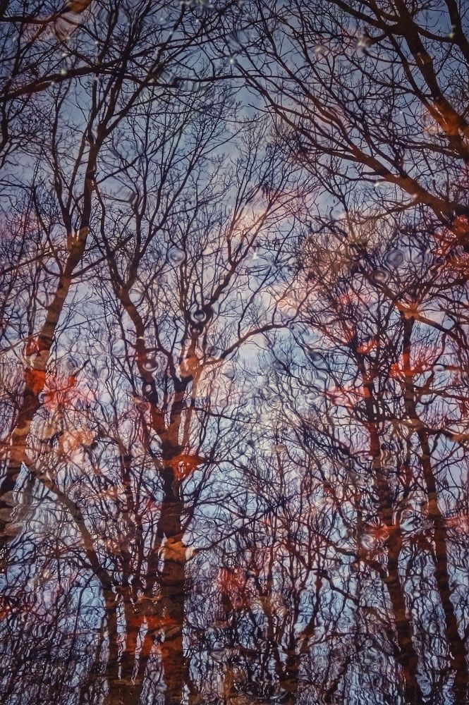 Photo #9889327