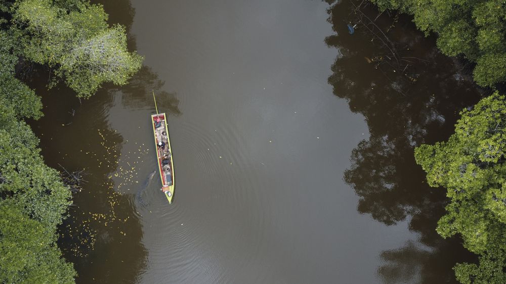 Фотография автора Anil Prabhakar