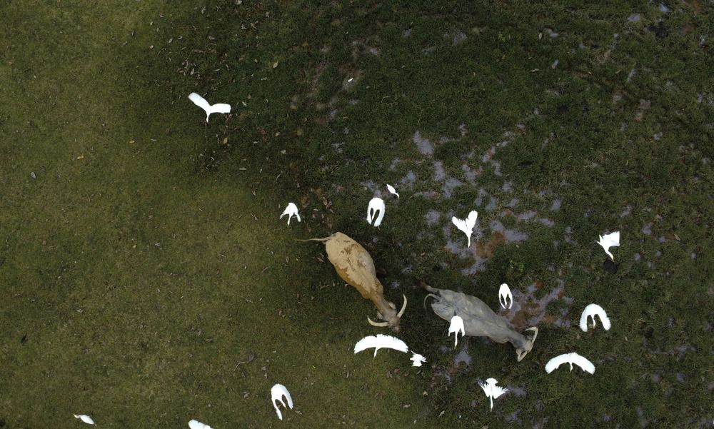 Фотография автора Anil Prabhakar