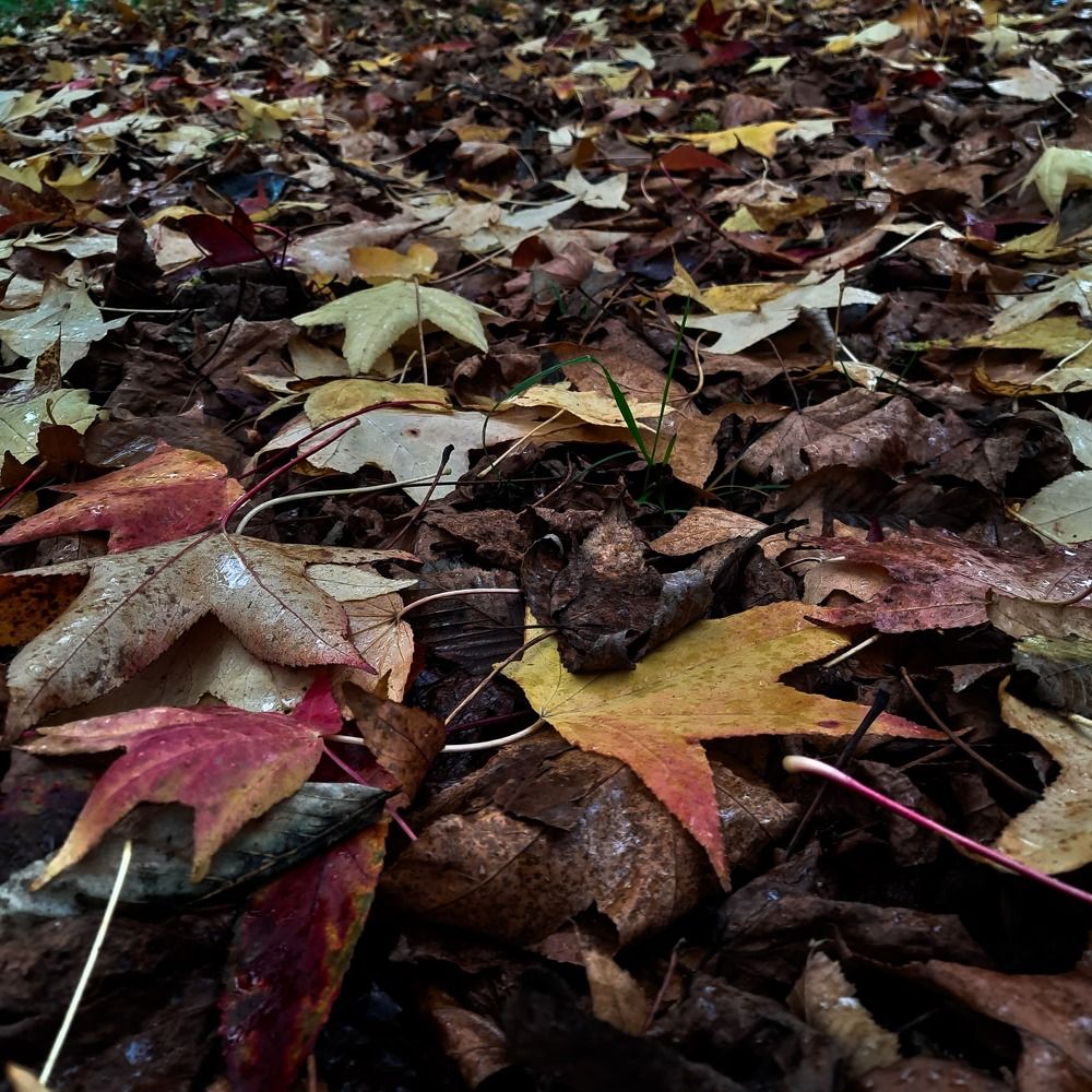 Photograph by Катерина