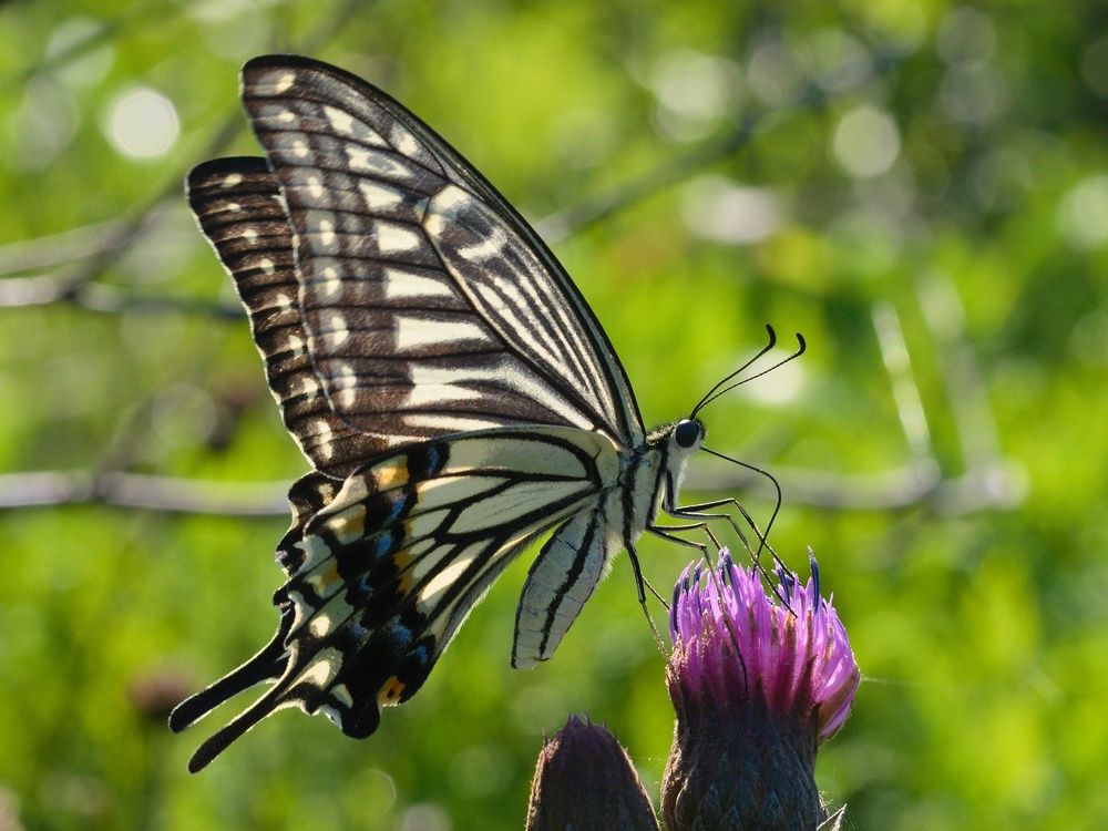 Photograph by Алексей Поляков