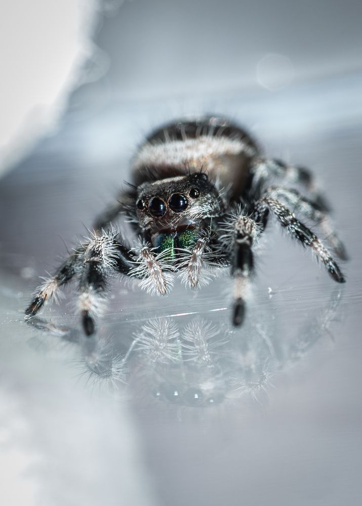 Photograph by Olga Link