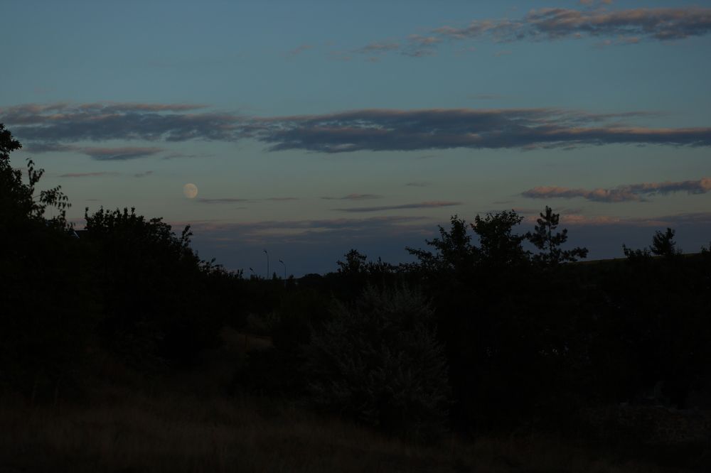 Photograph by Людмила Колесниченко