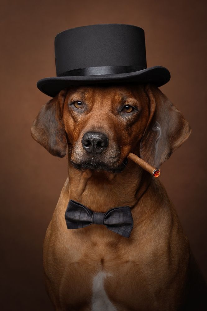 Фотография автора Светлана Писарева