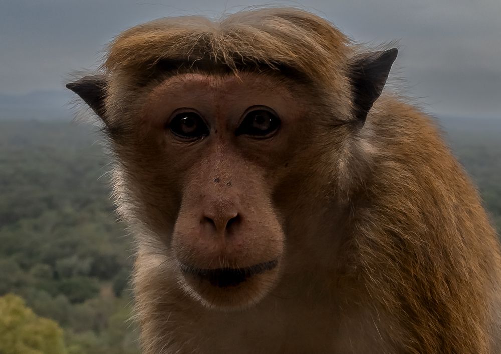 Photograph by Вячеслав Ват